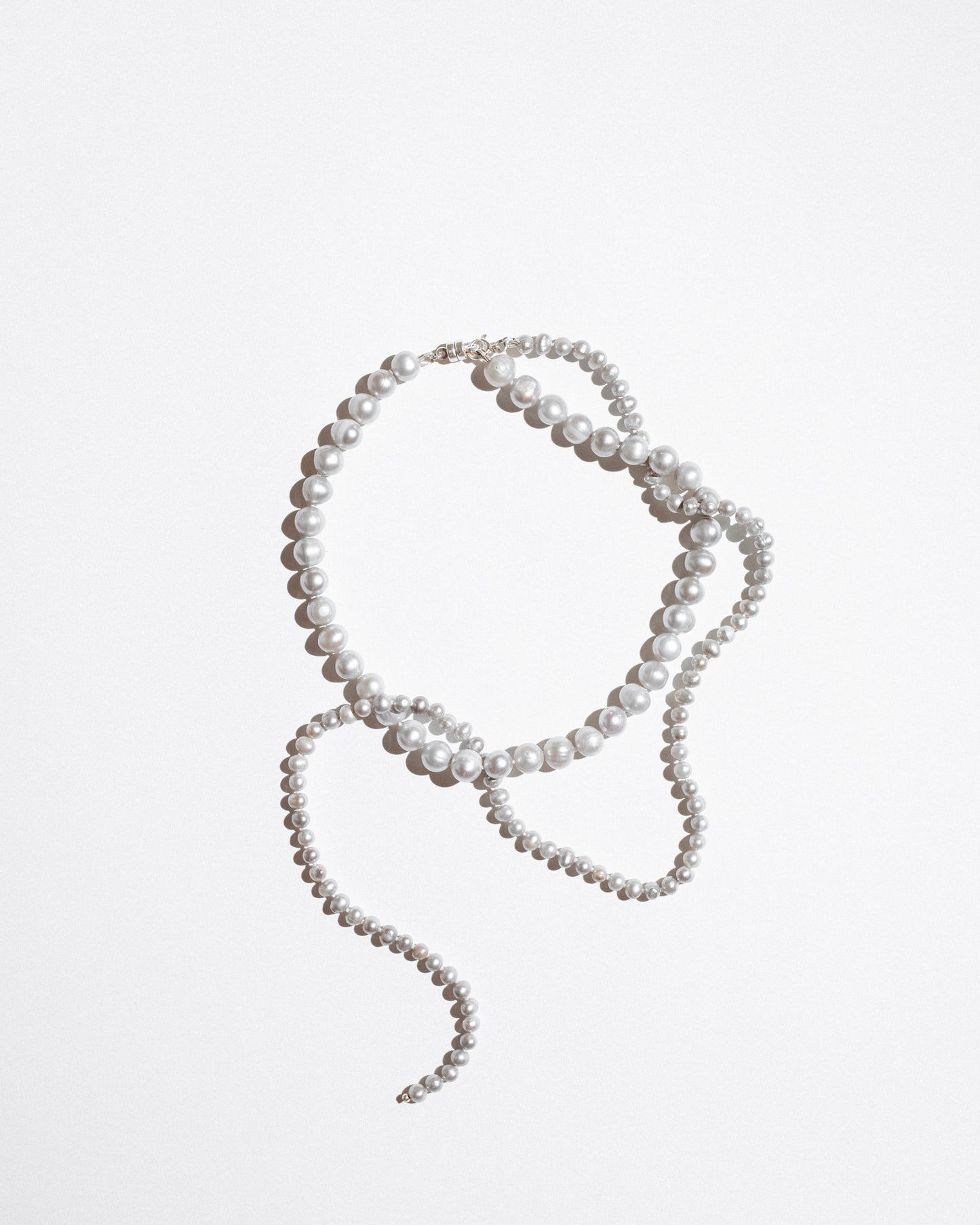 Pearl Tail