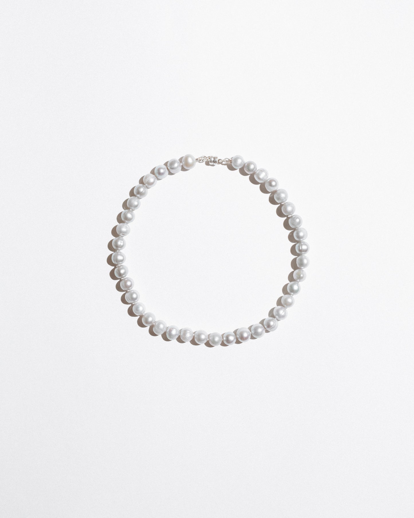 Pearlescent Spice Grey