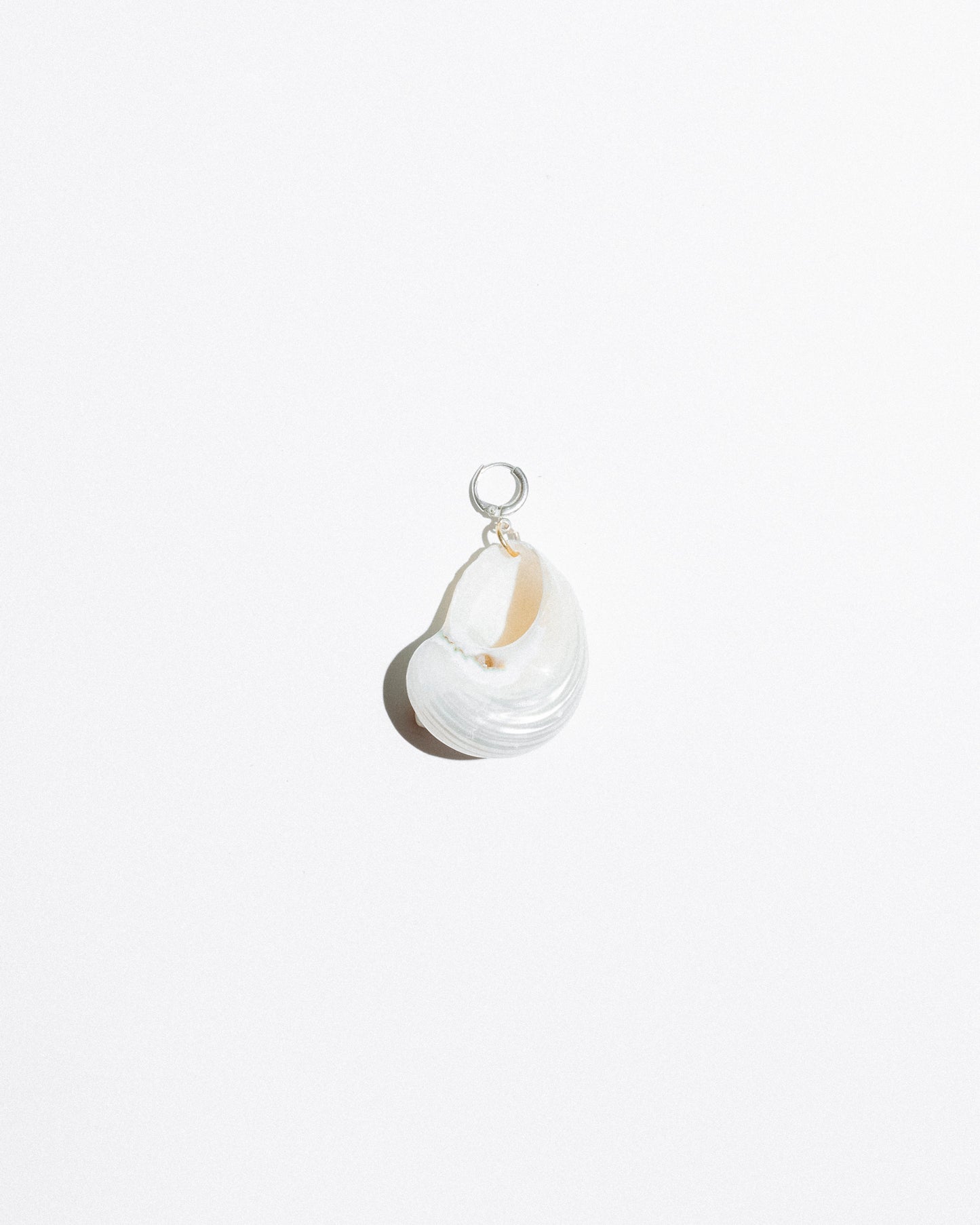 Seashell Earring