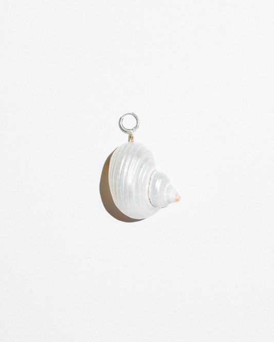 Seashell Earring